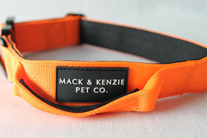 Tactical Dog Collar - Safety Orange