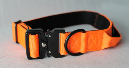 Tactical Dog Collar - Safety Orange